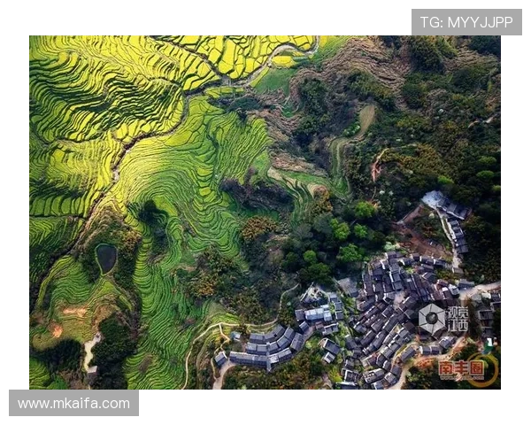 凯发网娱乐会员登录入口在哪找最全的官方入口指南