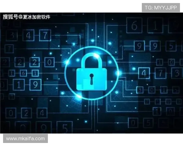 凯发官网app安全可靠的登录方式详解,保障用户账号信息安全与隐私保护 凯发官网app安全可靠的登录方式详解,保障用户账号信息安全与隐私保护