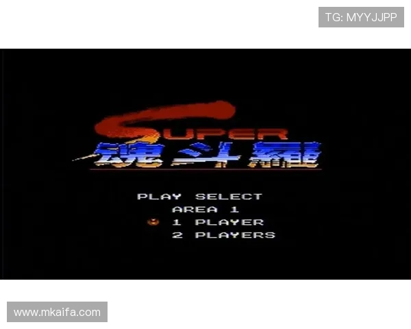 最全的FC游戏合集免费下载资源,满足不同玩家的怀旧游戏需求