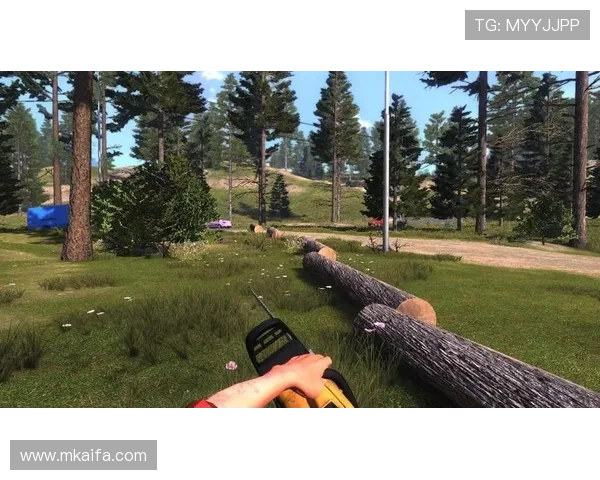 凯发真人游戏注重玩家隐私保护，打造安全可靠的游戏环境