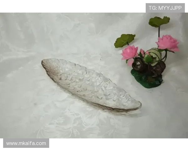 凯发足球官网首页网址官方入口导航,方便用户快速进入平台体验 凯发足球官网首页网址官方入口导航,方便用户快速进入平台体验